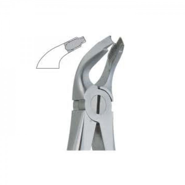 lower Third molars Deep Griping