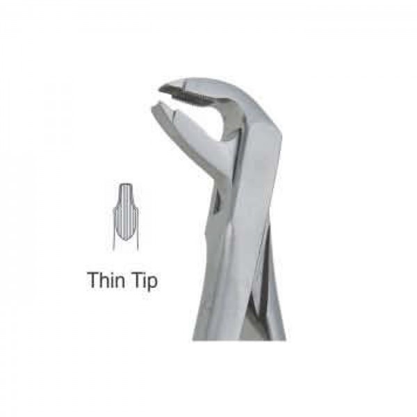 lower Premolars Deep Griping