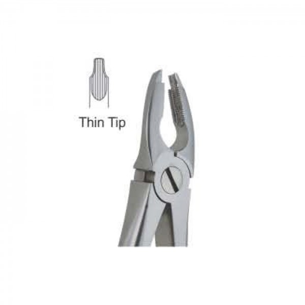 Upper Premolars Deep Griping