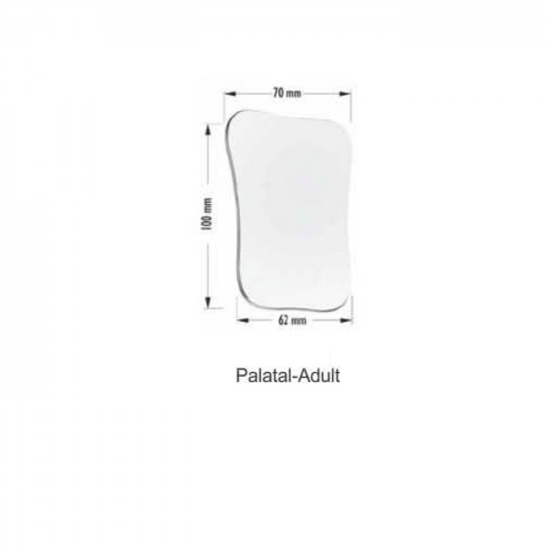 Palatal Adult