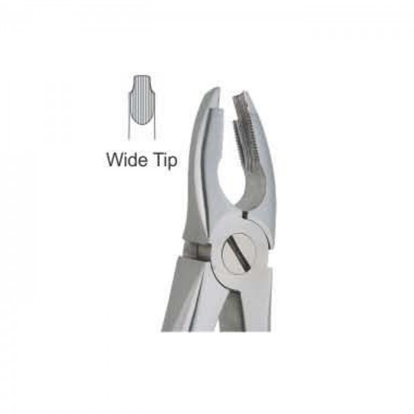 Upper Incisors Premolars Deep Griping