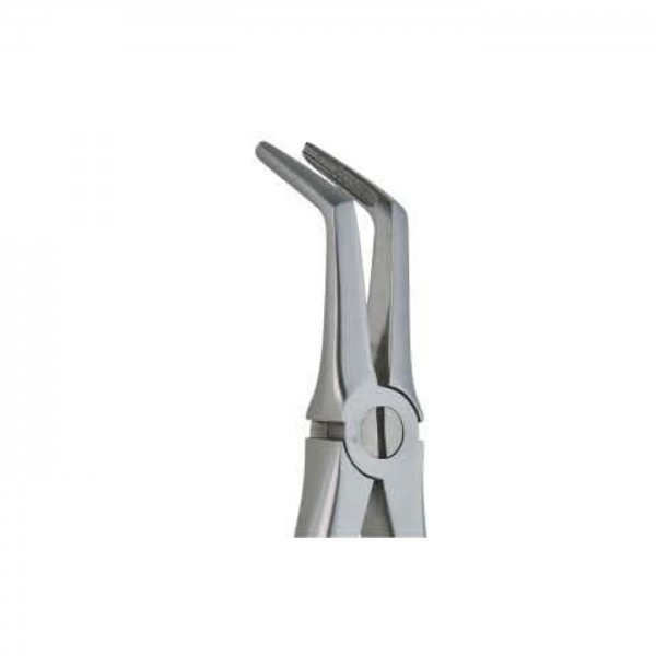 Apex Forceps Lower Root Deep Rock Pick