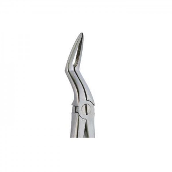 Apex Forcep