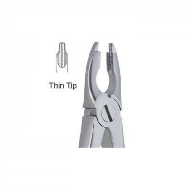 Upincisor and Premolar Deep Griping