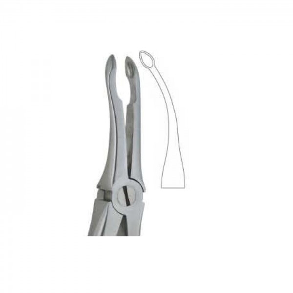 Apex Forceps Upper Root Deep Rock Pick