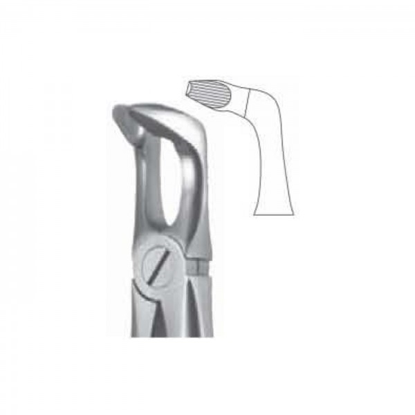Lower Third Molar