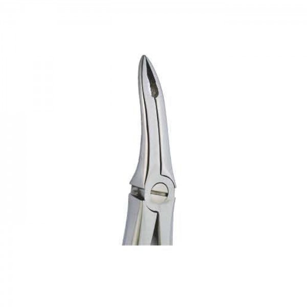 Apex Forcep