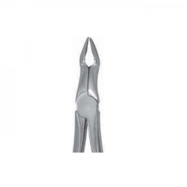 lower third molars Deep Griping