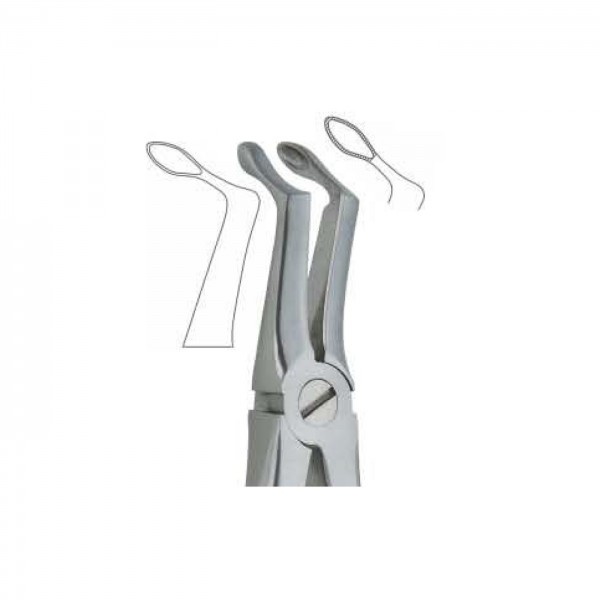 Apex Forceps Lower Root Deep Rock Pick