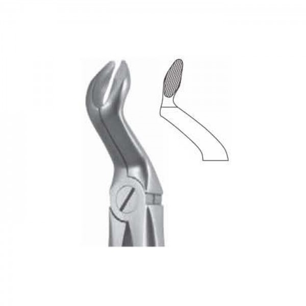 Upper Third Molars