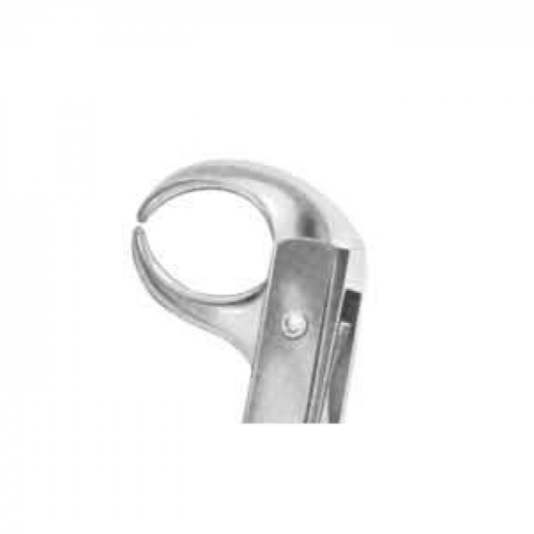 Lower Molar
