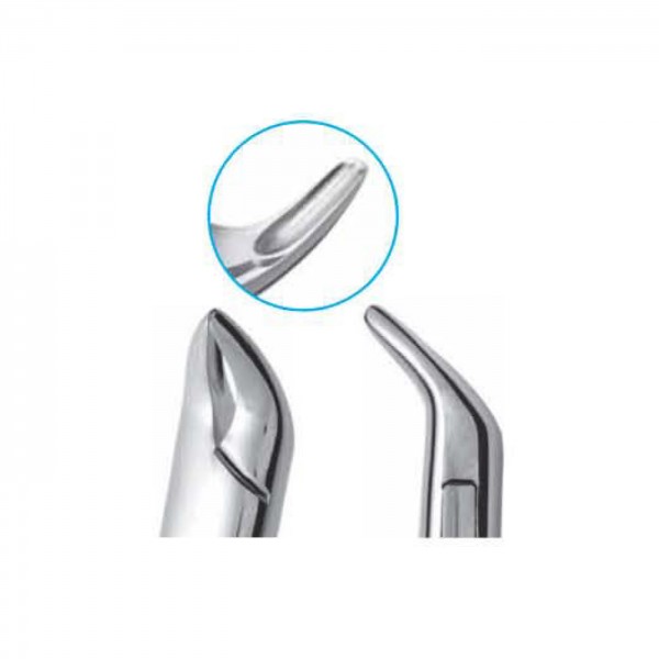 Molar